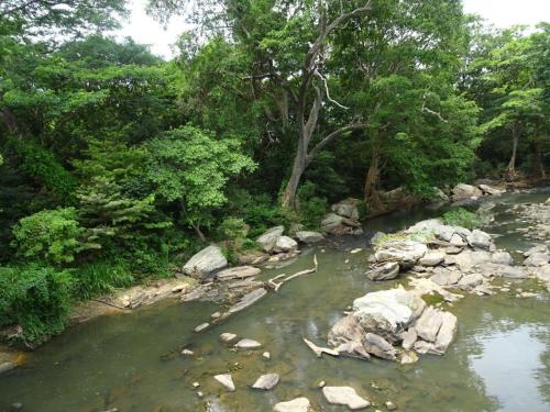 a river with rocks and trees in the background at Exciting Tree house and 2 Chalets, Spring valley farm stay Buttala, Okkampitiya 