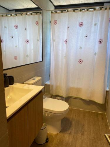 a bathroom with a toilet and a sink and a shower curtain at Calm and beautiful beach in Pichilemu