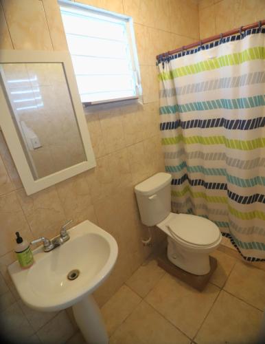 JayuyaにあるCasita VerdeSerのバスルーム(トイレ、洗面台、シャワーカーテン付)