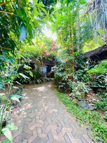 a walkway in a garden with trees and plants at Art house hiriketiya in Dickwella