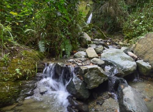 a stream of water in a forest with rocks at Glamping en Medellín - Kinsho Glamping - Cabaña con Jacuzzi privado in Medellín