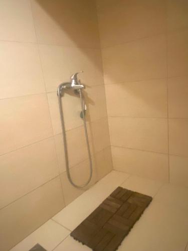 a shower with a hose in a bathroom at Gardenista in Gerakas near to airport in Athens