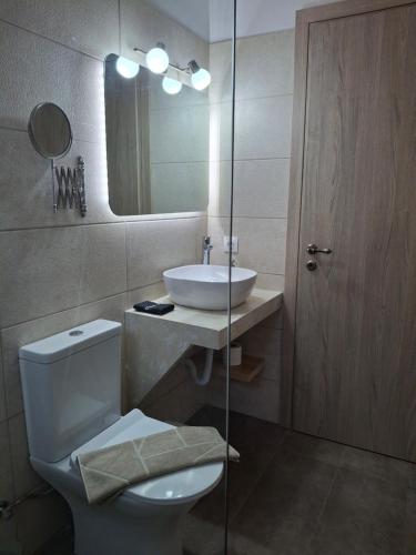 a bathroom with a toilet and a sink and a mirror at Terra Solaris Guesthouse in Kissamos