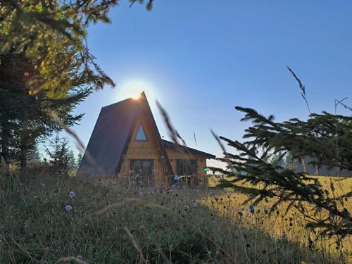 a wooden house in a field with the sun shining on it at Vila Vida in Žabljak