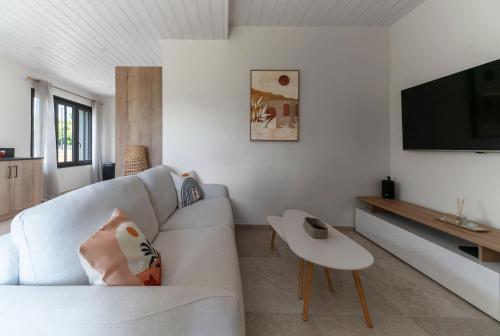 a living room with a couch and a tv at Maison Billy - Maison design et climatisée avec jardin in Billy