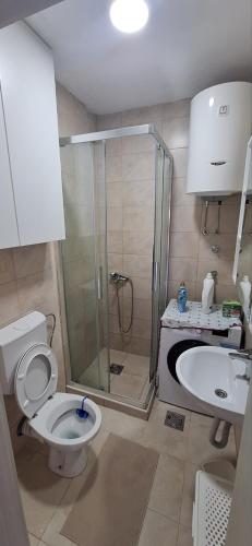 Un baño con ducha, inodoro y lavabo. en Apartman Nadja2, en Tivat