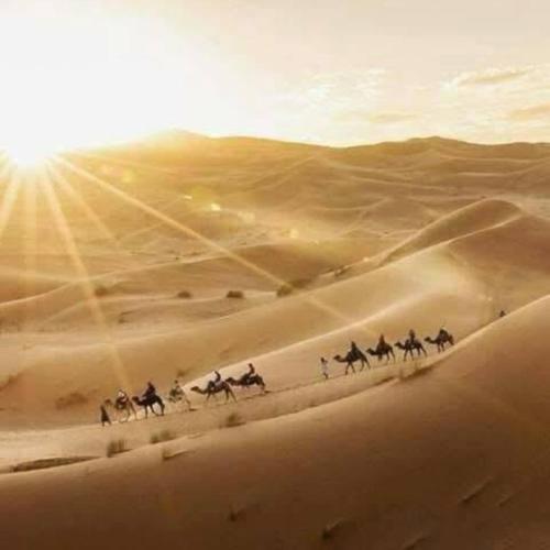 a group of people riding horses in the desert at Sam Desert Luxury Resort in Sām