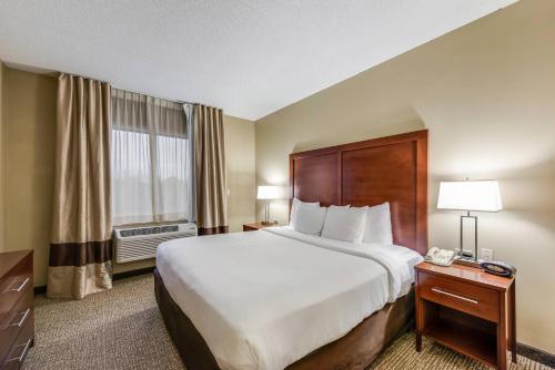 Gallery image of Comfort Suites Chicago O'Hare Airport in Schiller Park