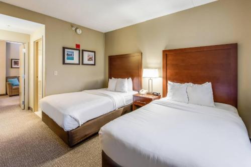 Gallery image of Comfort Suites Chicago O'Hare Airport in Schiller Park