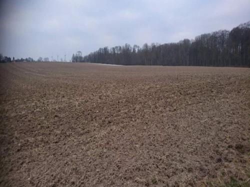 an empty field with trees in the background at 4 person holiday home in Væggerløse in Marielyst