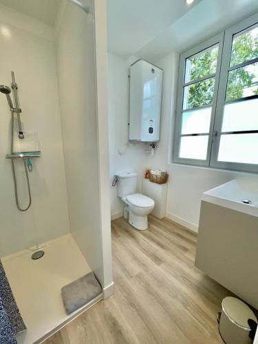 a bathroom with a toilet and a shower and a sink at Le Jacquemart in Moulins