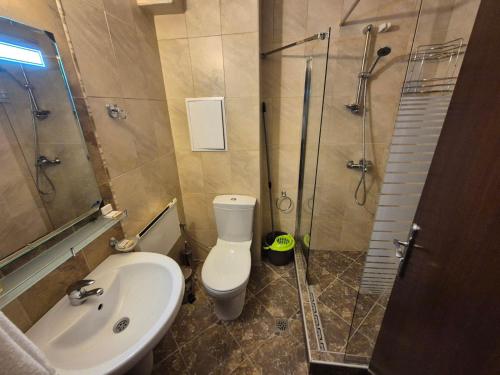 a bathroom with a shower and a toilet and a sink at Elit Pamporovo Accommodation in Pamporovo