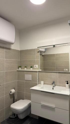 a bathroom with a toilet and a sink and a mirror at Monolocale Riva Lake in Valbrona