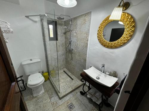 a bathroom with a shower and a toilet and a sink at CRAMA APOGEUM - Adult only in Gura Vadului