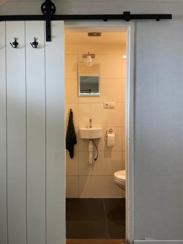 a bathroom with a toilet and a sink at Chalet de Sudhoek in Vrouwenparochie