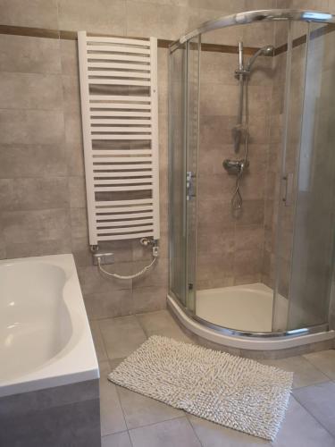 a bathroom with a shower and a tub and a sink at Apartament Głęboka 19 in Cieszyn