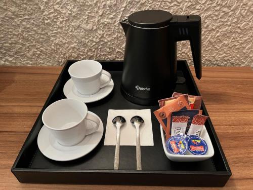 Hotel Aneto