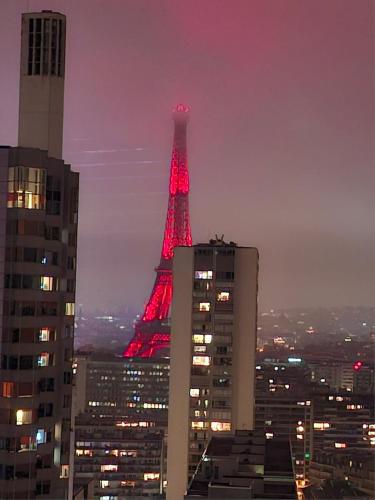 Paris skyline elegance