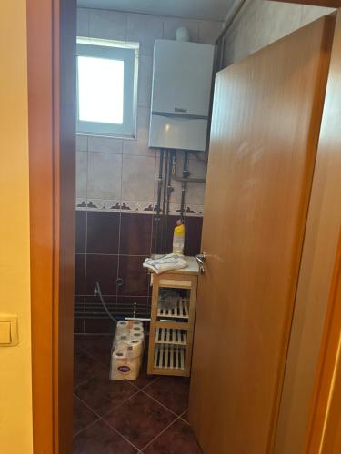 Un baño de 100 m2 Apartment in Sarajevo