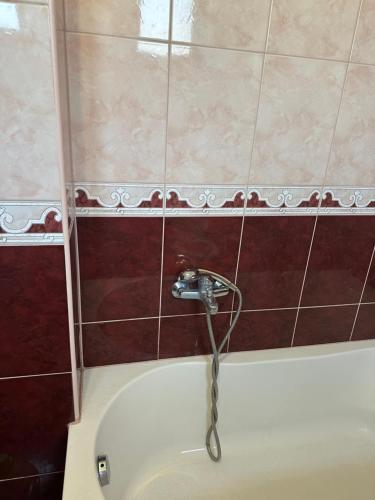 Un baño de 100 m2 Apartment in Sarajevo