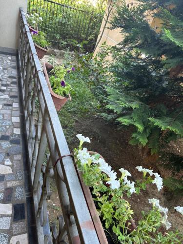 Jardín al aire libre en 100 m2 Apartment in Sarajevo