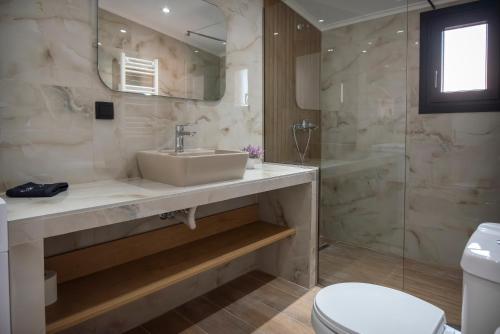 V&V Suite B1
