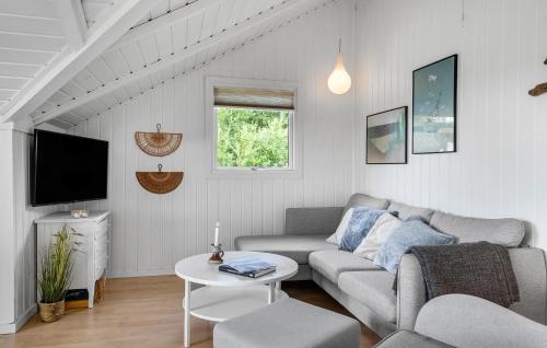 VestervigにあるCozy Home In Vestervig With Wifiのソファとテレビのあるリビングルーム
