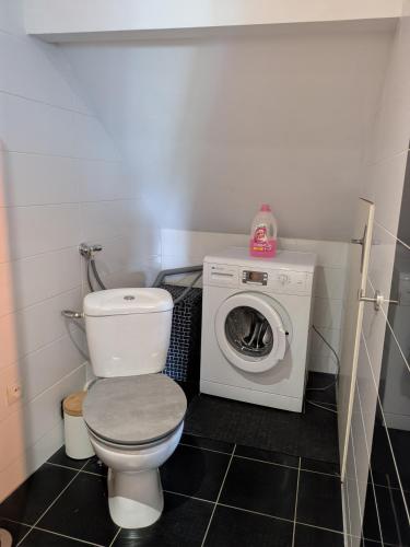 a bathroom with a toilet and a washing machine at Au jardin des pies in Woustviller