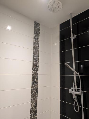 a bathroom with a shower with black and white tiles at Au jardin des pies in Woustviller