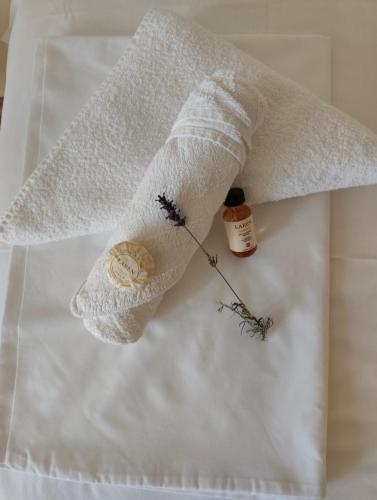 a rolled up towel with a needle and a bottle of medicine at Bo's place in St. St. Constantine and Helena