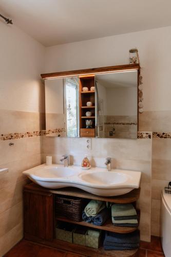 a bathroom with a sink and a mirror at Die Triniushütte "Thüringens schönste Aussicht" in Rauenstein