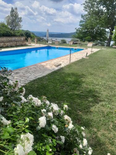 a swimming pool with white flowers in the grass at Poggio San Giacomo in Baschi