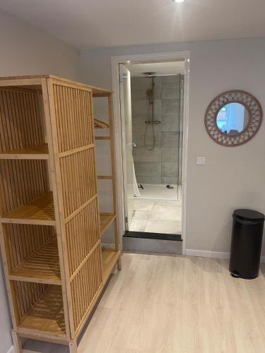 a bathroom with a walk in shower and a room with shelves at Studio Alexander with private indoor parking in Zandvoort