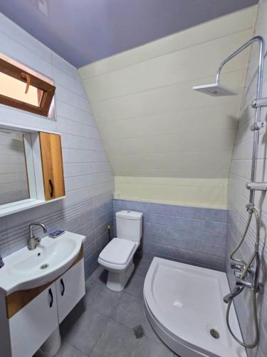a bathroom with a white toilet and a sink at Kutaisi Red Water Cottage in Odilauri