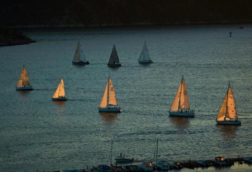 a group of sailboats in a large body of water at Annex at The Stables in the Heart of England in Hinckley