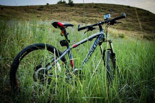 a bike parked in a field of tall grass at Annex at The Stables in the Heart of England in Hinckley