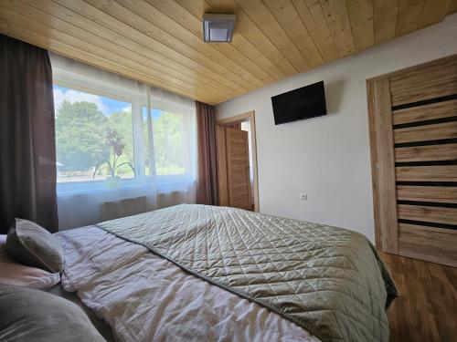 a bedroom with a bed and a large window at Wellness Toliar Tatry in Stará Lesná
