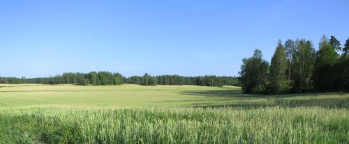a field of grass with trees in the background at Westerby Gård in Inkoo