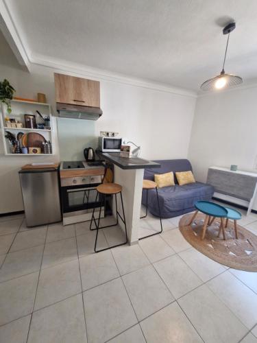 a kitchen and living room with a couch and a table at Appartement coquet Le Boulou in Le Boulou