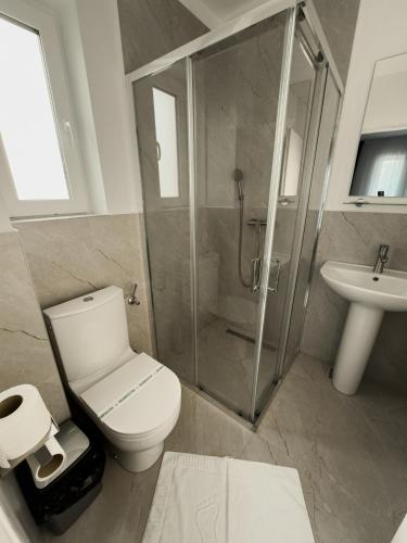a bathroom with a shower and a toilet and a sink at Vila Marbo in Baile Felix