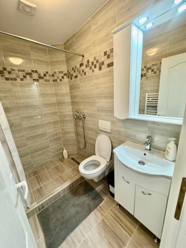 a bathroom with a toilet and a sink at La Pop Cu Drag in Ocna Şugatag