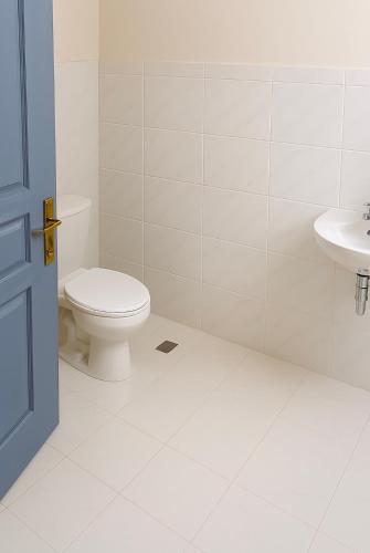 a white bathroom with a toilet and a sink at Havillah Court, Regent 
