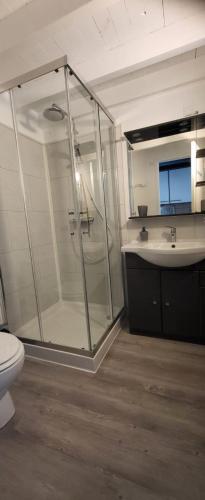 une salle de bain avec une douche, des toilettes et un lavabo dans l'établissement Gîte Bastide la Palmeraie - au calme, dans propriété, parking assuré, à Saint-Paul-de-Vence