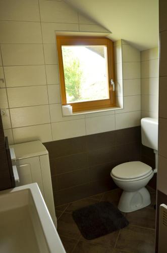 a bathroom with a toilet and a window at Koča v Lozah in Gornji Grad