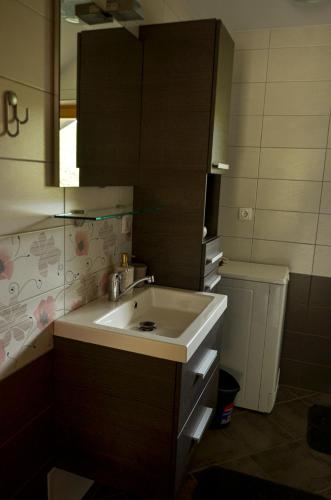 a bathroom with a sink and a mirror and a toilet at Koča v Lozah in Gornji Grad