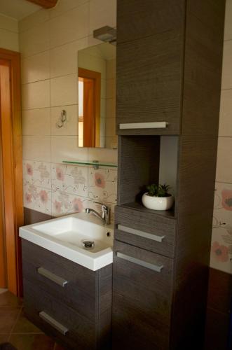 a bathroom with a sink and a mirror at Koča v Lozah in Gornji Grad
