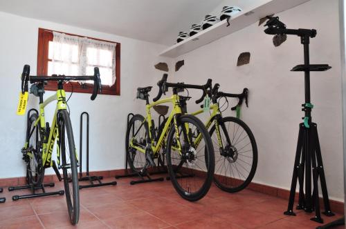 a group of bikes parked in a room at Casa Justina in Garachico