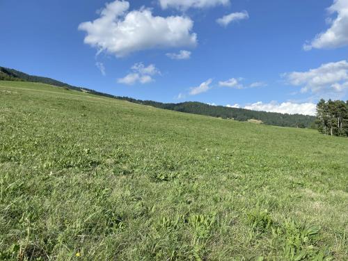 Gallery image of Albergo Centrale in Carbonare di Folgaria