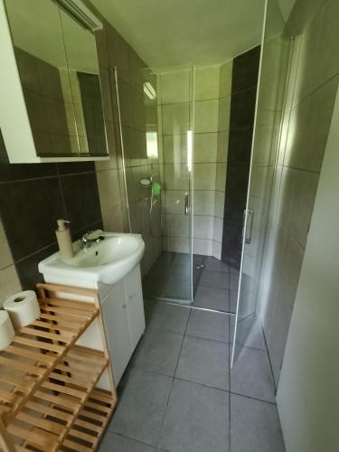 a bathroom with a sink and a shower at Apartmán KPS in Kalameny