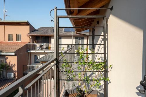 a ladder on a balcony with a plant at Residence Risorgimento in Novara